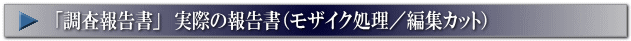 浮気調査・実際の調査報告書(モザイク処理/編集カット)