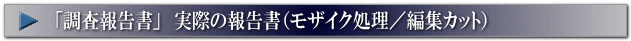 浮気調査・実際の調査報告書（モザイク処理／編集カット）