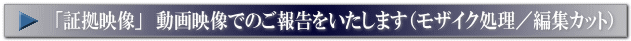 浮気調査・YouTube実際の調査動画映像(モザイク処理/編集カット)